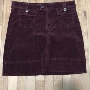 Patagonia Mini Skirt.